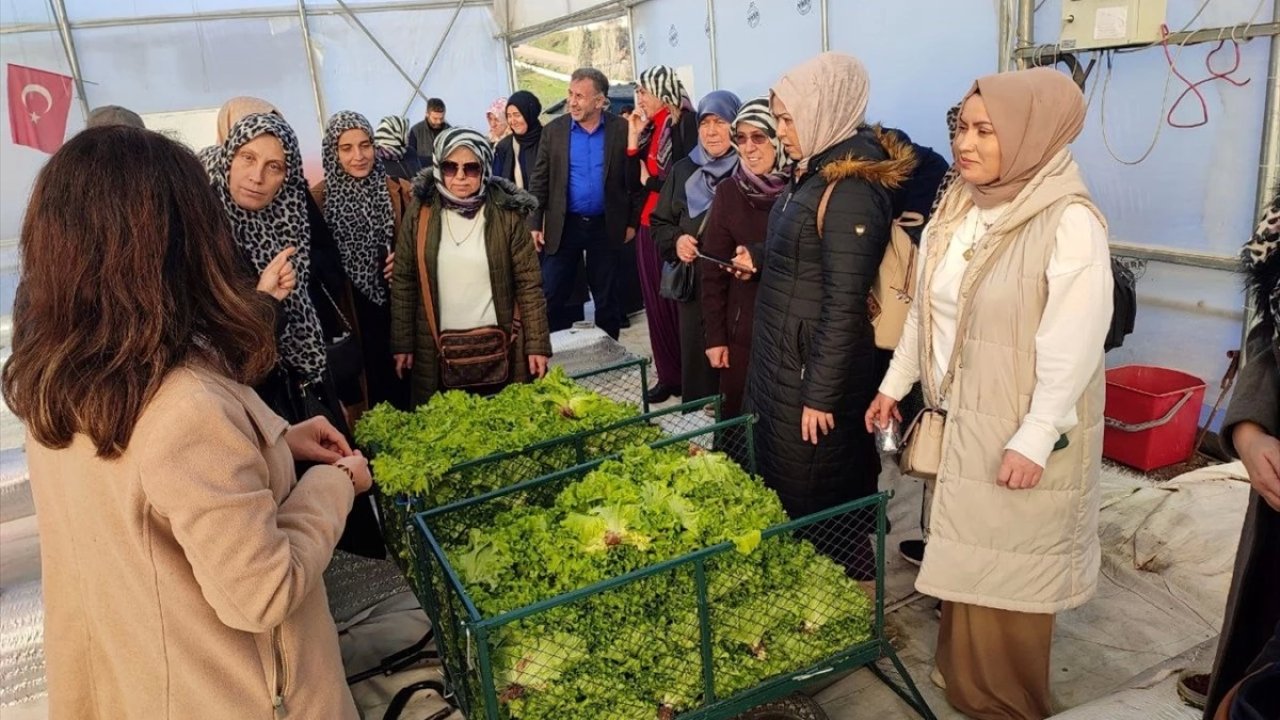 Kadın Çiftçiler AR-GE Serasında İncelemeler Yaptı