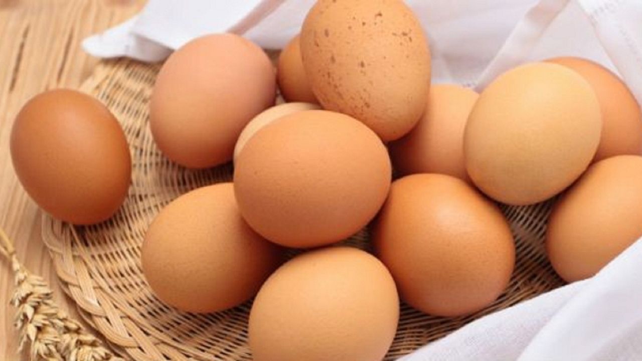 Tarım Kredi Market’te Yumurta İndirimi! Son Gün 24 Nisan