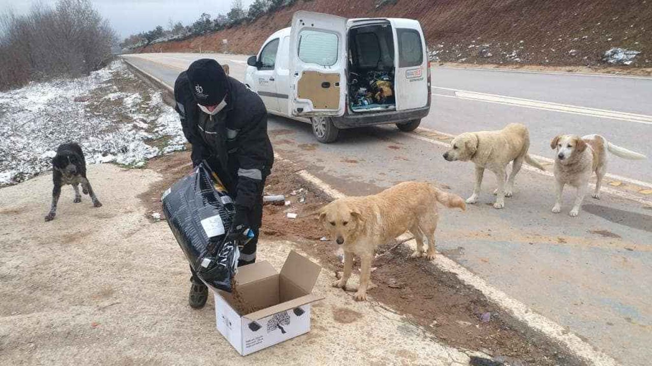 Duyarlı Esnaf Sahipsiz Hayvanları Unutmuyor