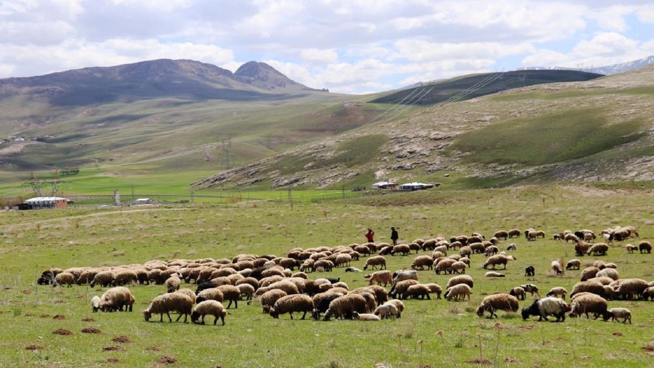 Köyümde Yaşamak İçin Bir Sürü Nedemin Var Projesi Devam Ediyor