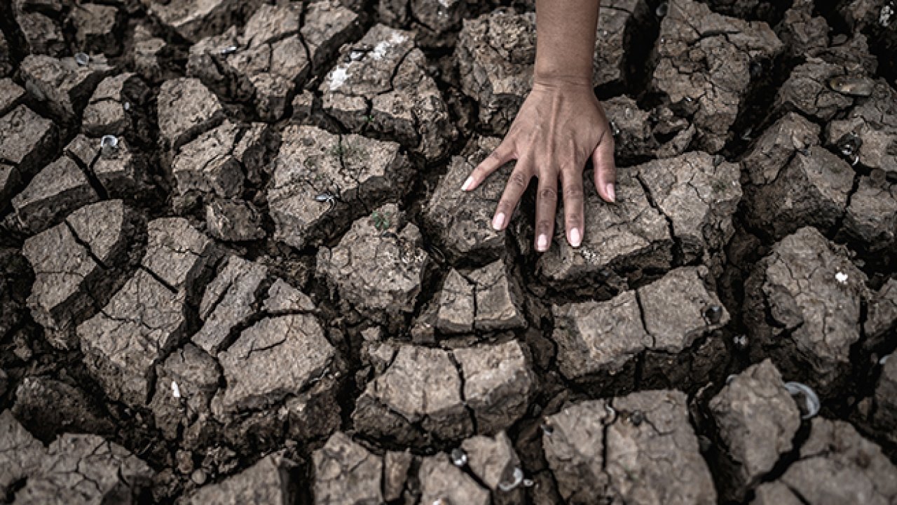 Trakya'da İklimTrak Projesiyle Toprakların İklim Değişikliğine Uyumu Sağlanacak