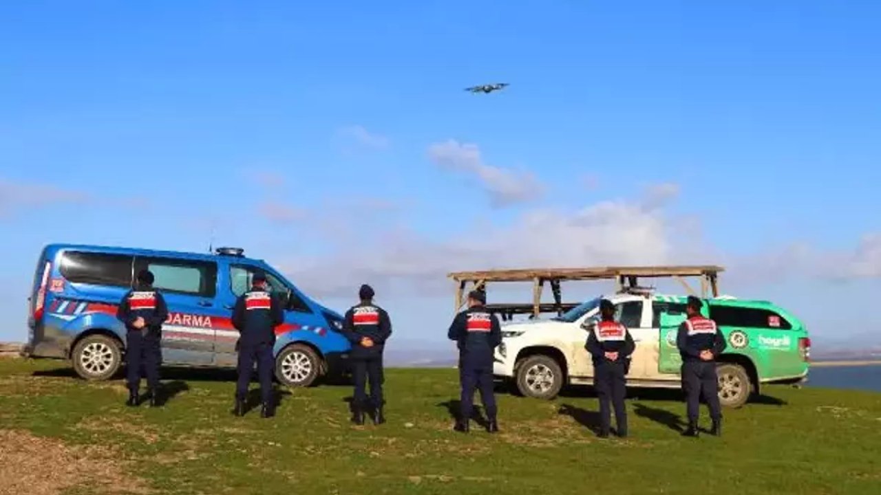 Edirne'de Jandarma Ekipleri Gala Gölü'nde Besleme Yaptı