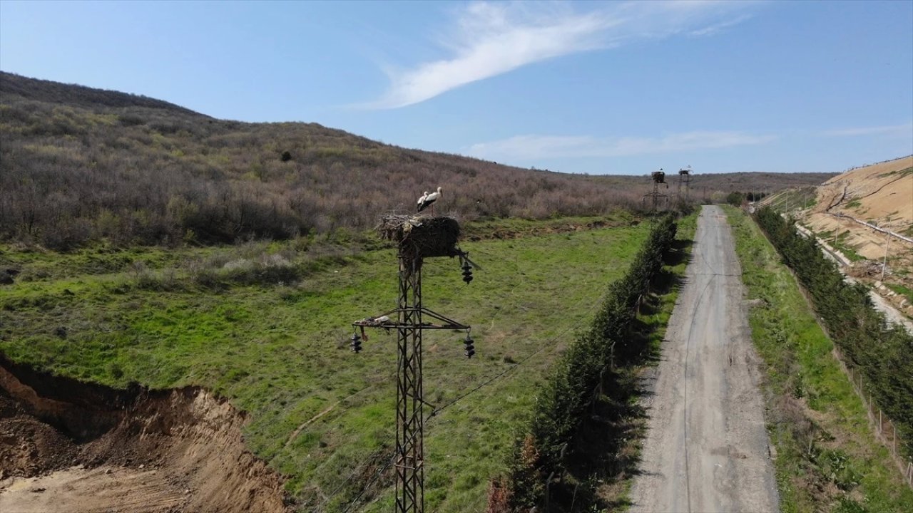 Trakya'da Göçmen Kuşlar İçin Elektrik Direklerine Özel Platformlar Yapıldı