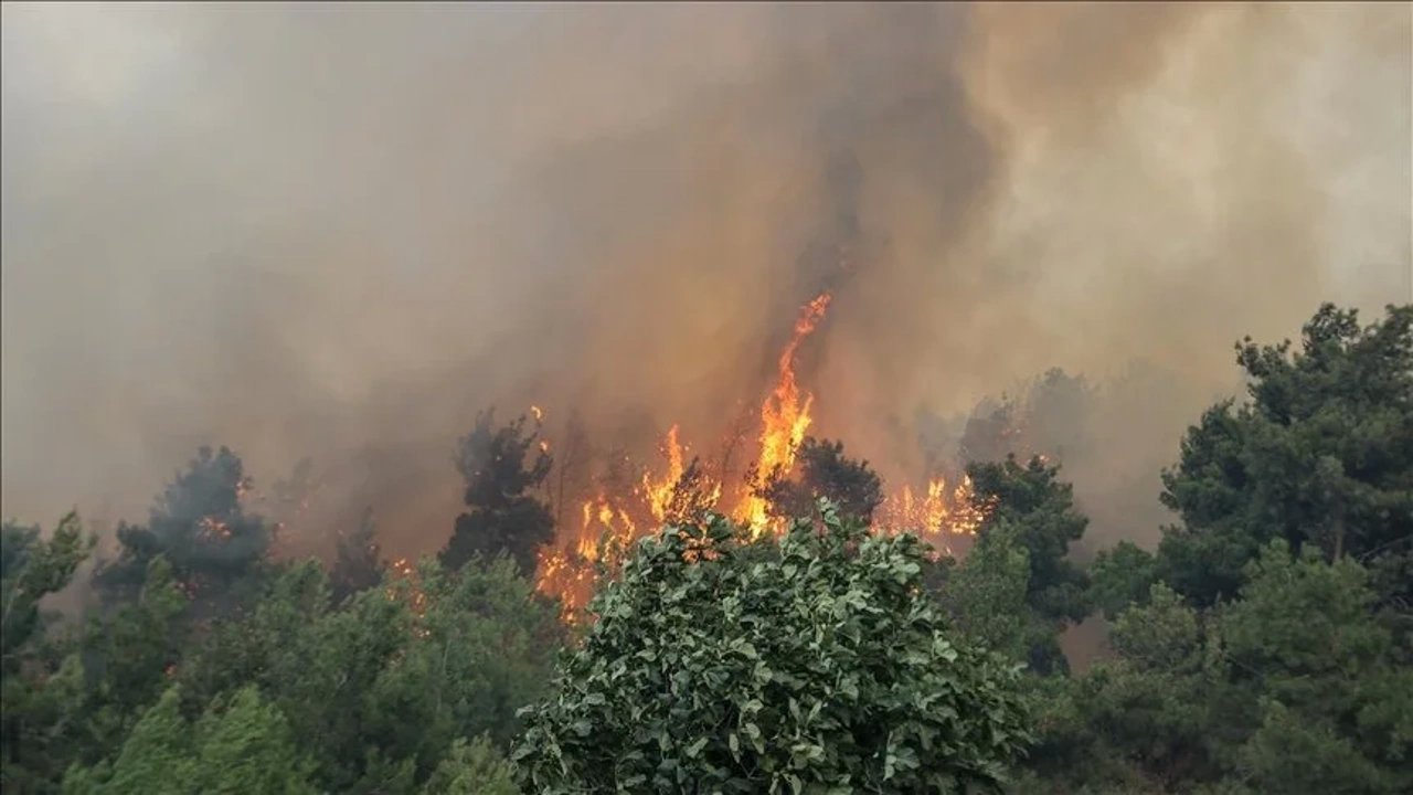 Ormanlık Alanda Yangın Çıkaran Sanığa Hapis Cezası Kesildi