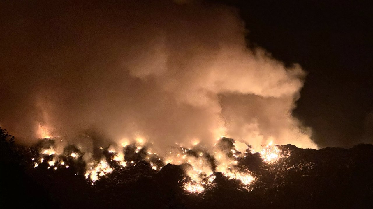 Yalova'da Korkutan Orman Yangını