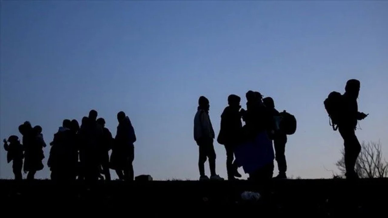 Edirne'de Düzensiz Göçmenler Gözaltına Alındı