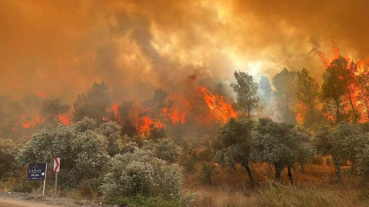 Trakya'da Erozyon ve Yangınlara Karşı Mücadele Ediliyor