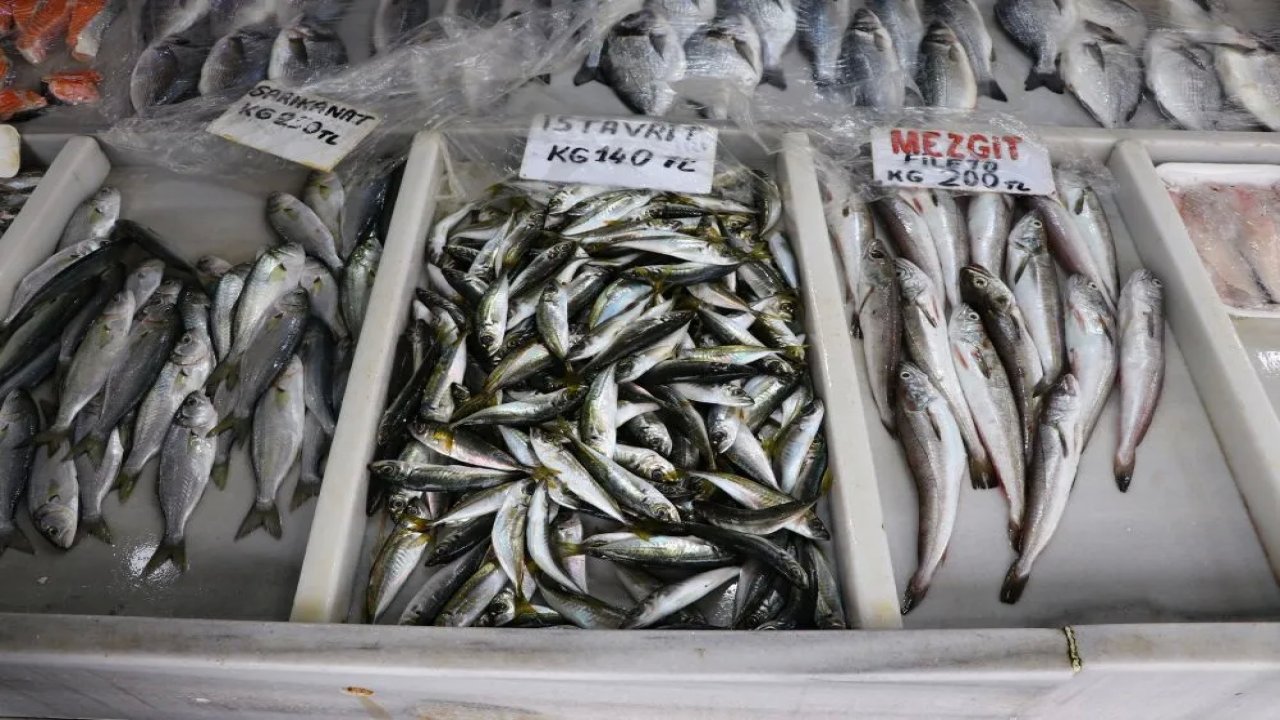 Tekirdağ'da Tutulan Balıklar Tezgahları Süslüyor