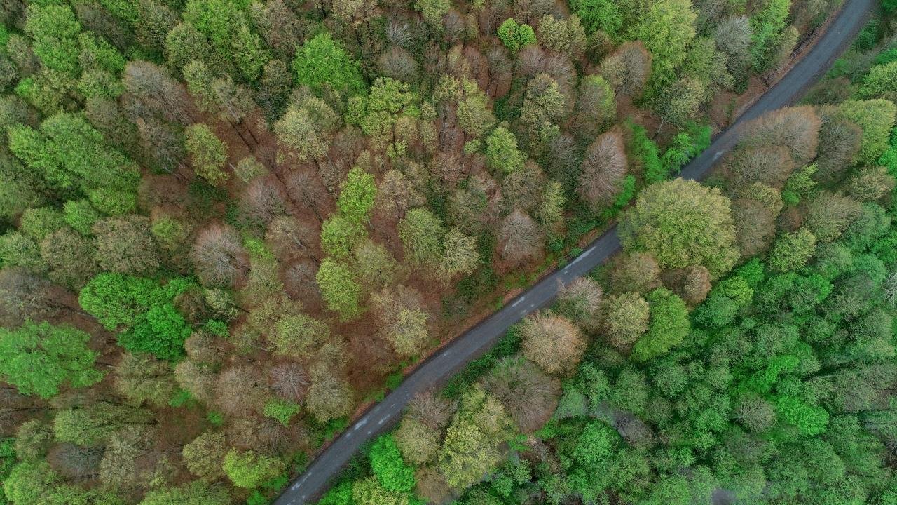 Kırklareli'nde Ormanlık Alanlara Girişler Yasaklandı