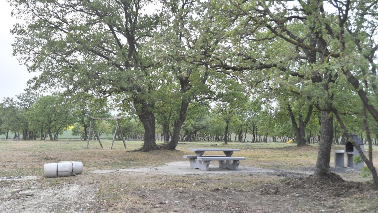 Edirne'nin Yeni Cazibe Merkezi Musabeyli Korusu Olacak