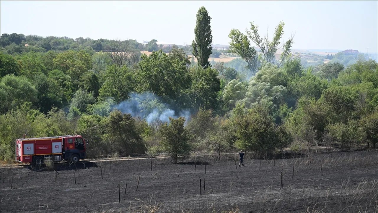 Trakya'da Yangınlardan Zarar Gören Ormanların Sayısı Arttı