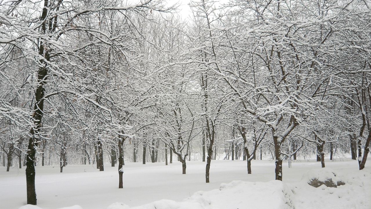 Meteoroloji tarih ve saat verdi! Kar yağışı bekleniyor