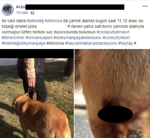 EMEKLİ POLİS KÖPEĞİ VURDU