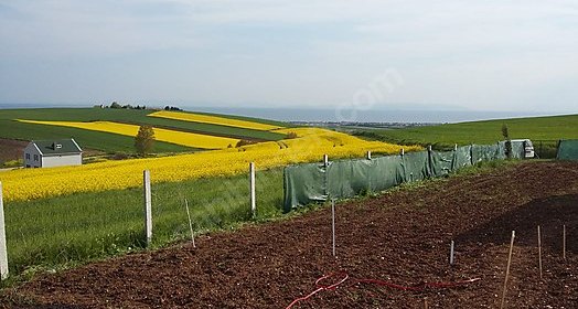 ‘VİRÜSTEN SONRA TOPRAĞA TALEP ARTACAK’