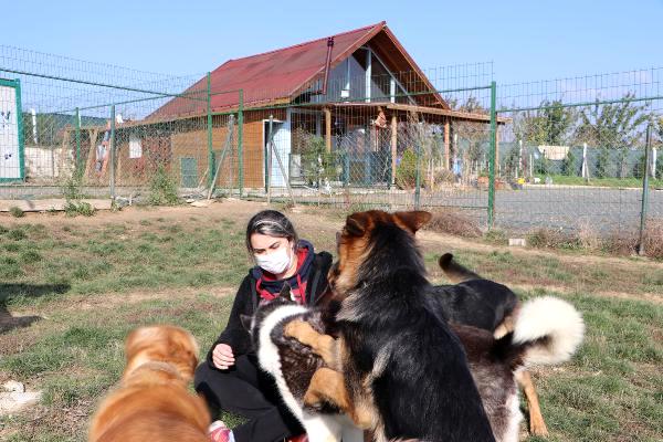 BU OTELDE SADECE KÖPEKLER KALABİLİYOR