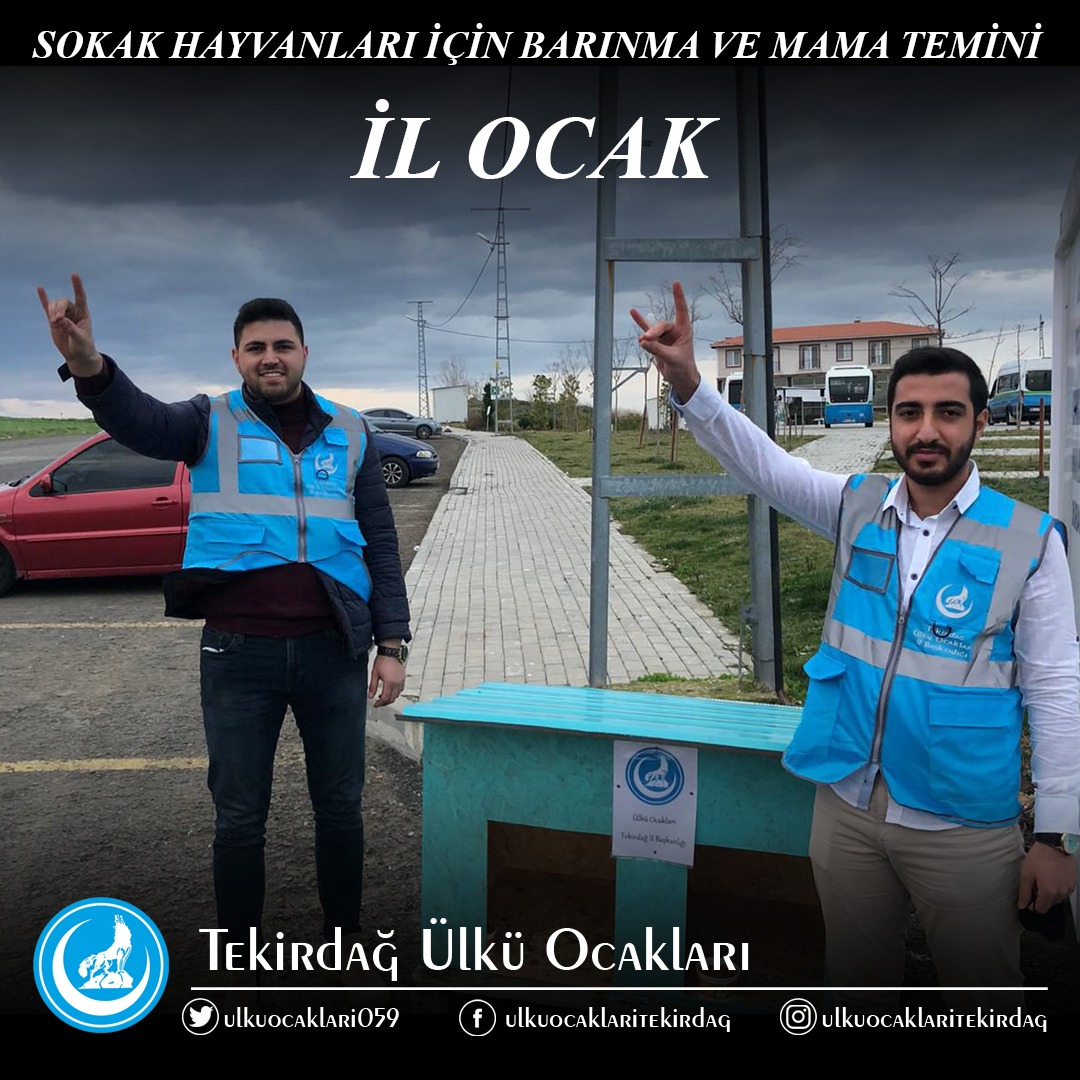 ÜLKÜCÜLER SOKAK HAYVANLARINI UNUTMADI