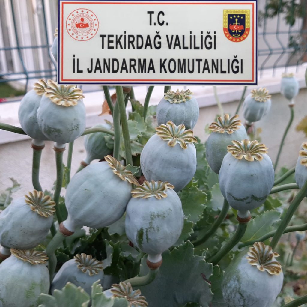 JANDARMA ELE GEÇİRDİ