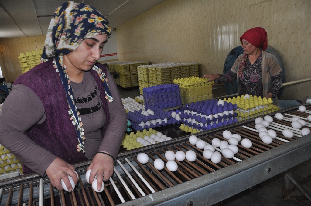 3 HARFLİLER ONLARI DA İSYAN ETTİRDİ