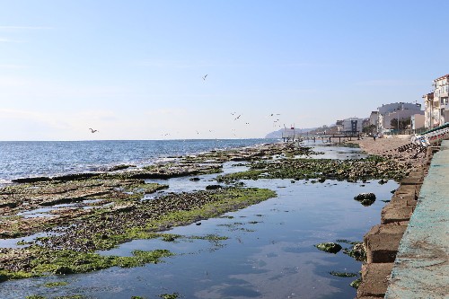 Tekirdağ'da Deniz Çekildi Kayalıklar Ortaya Çıktı