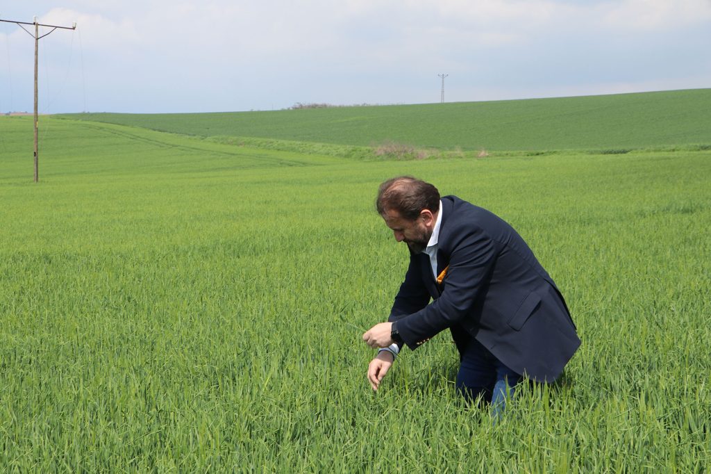 Trakya Çiftçisinin Kabusu Sona Erdi