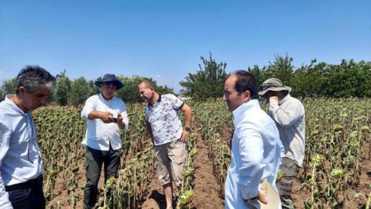 Açıklamalar Gündem Oldu Bakanlık Harekete Geçti