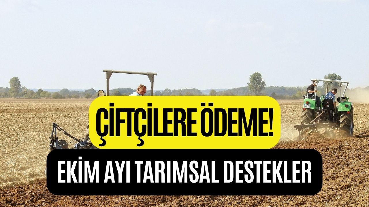 Tarım Bakanlığı Ödeme Yaptı! Ekim 2023 Tarımsal Destekleri