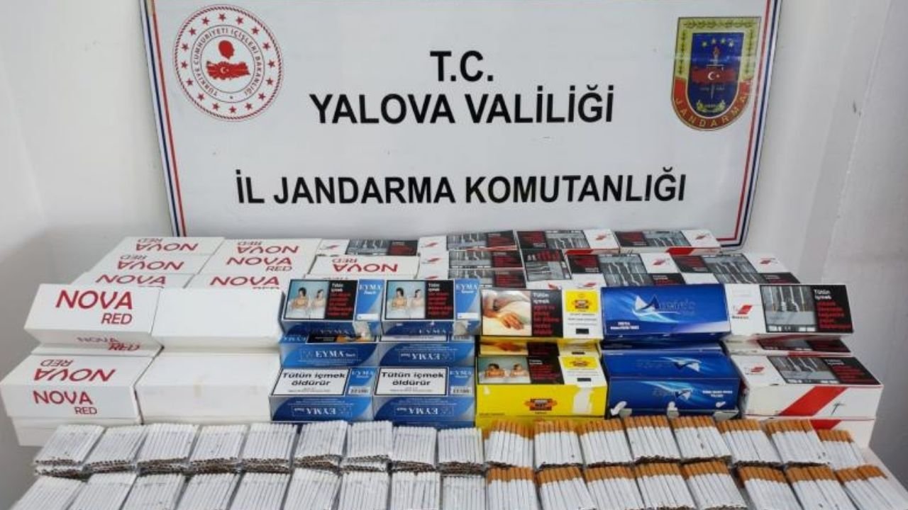 Yalova'da 10 Bin 860 Dolu Makaron Ele Geçirildi