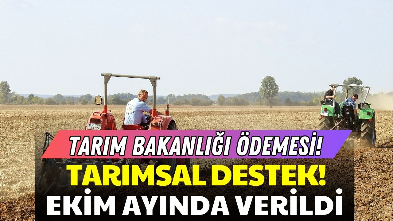 Çiftçilere Ekim Sonu Desteği! Tarım Bakanlığı Tarımsal Destek Ödemesi