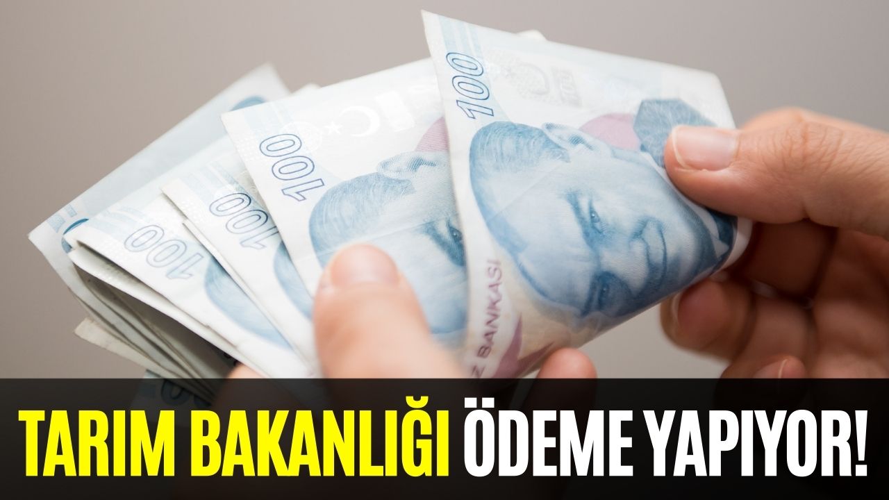 Tarım Bakanlığı Bugün Ödeme Yapıyor! Hesabınızı Kontrol Edin