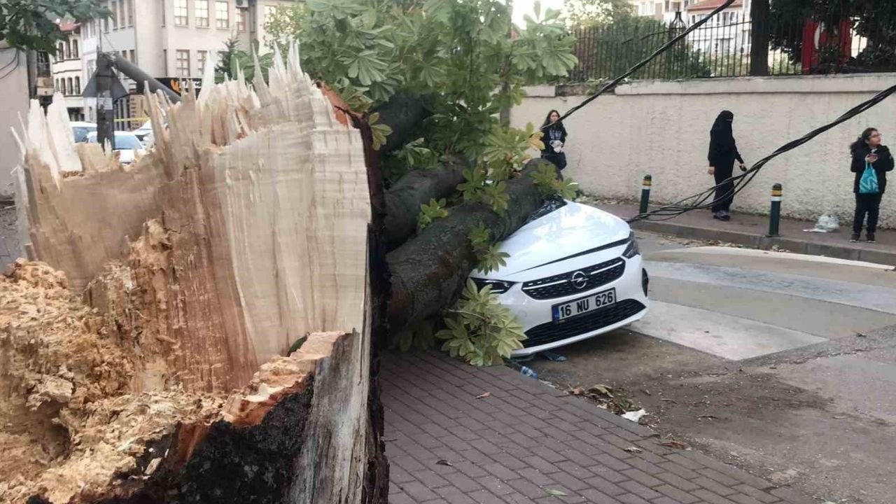 Bursa'da Ağaç ve Elektrik Direği Araçların Üzerine Devrildi