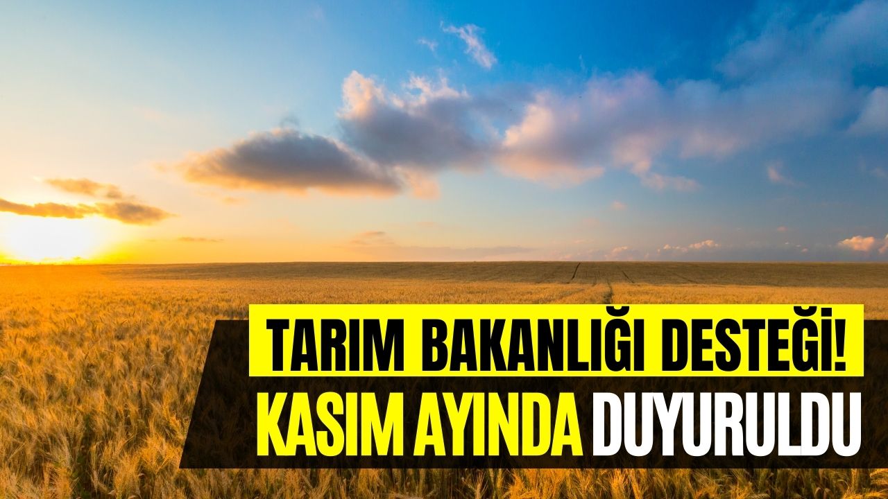 Tarım Bakanlığı 184 Milyon TL Destek Verdi! Kasım Ayında Açıklandı