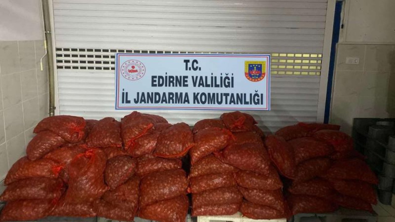 Edirne'de 1 Ton 662 Kilo Kum Midyesi Ele Geçirildi