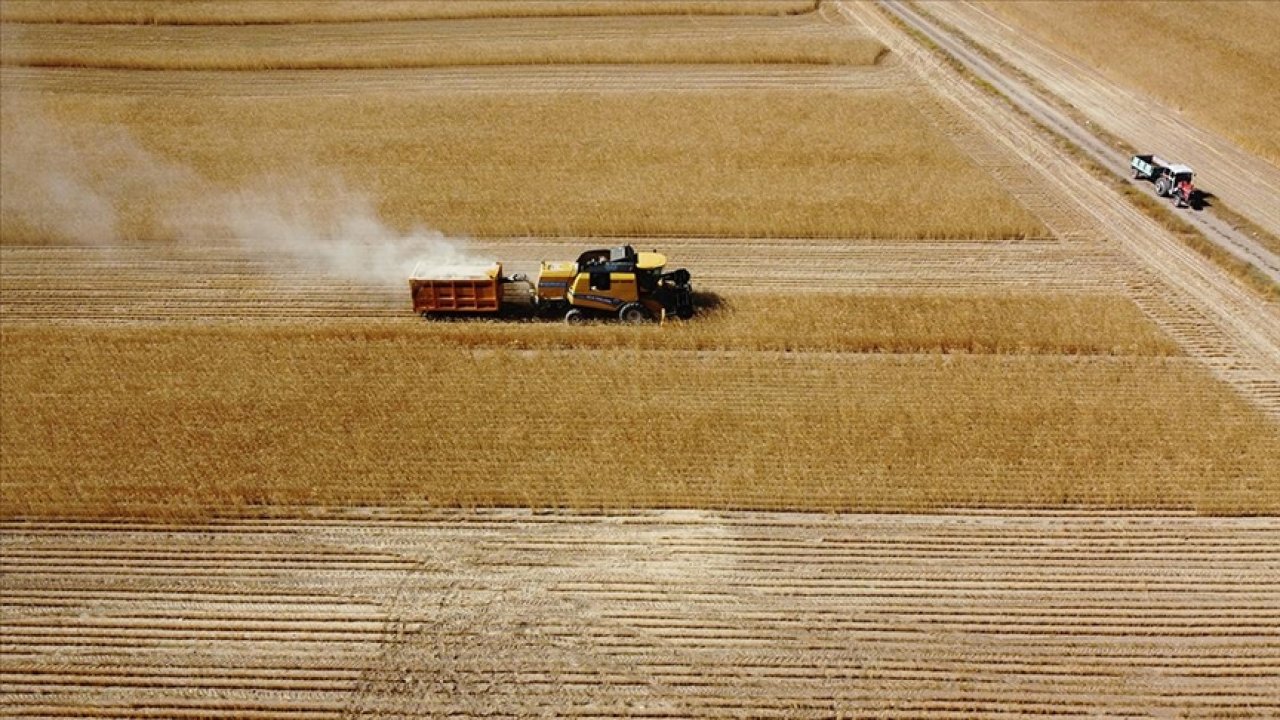 Trakya'daki Yağışlar Çiftçiyi Rahatlattı