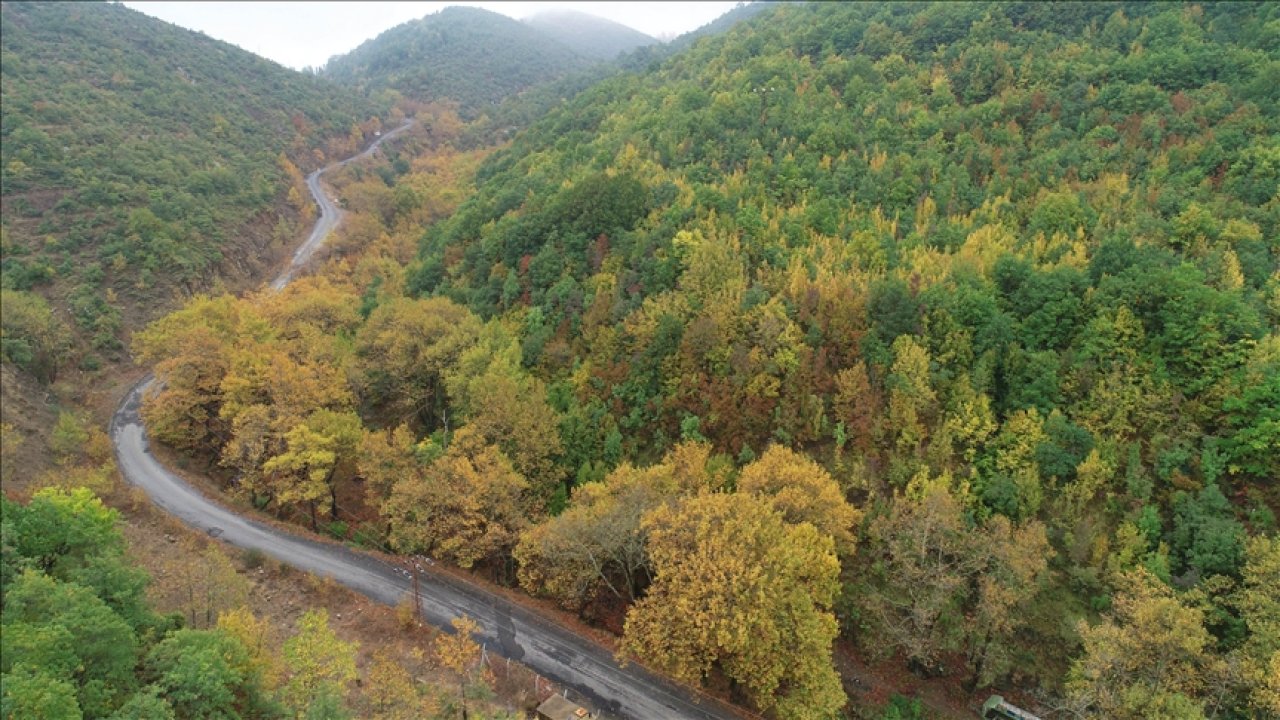 Ganos Dağı Eteklerindeki Ormanlar Mevsim Renklerine Büründü