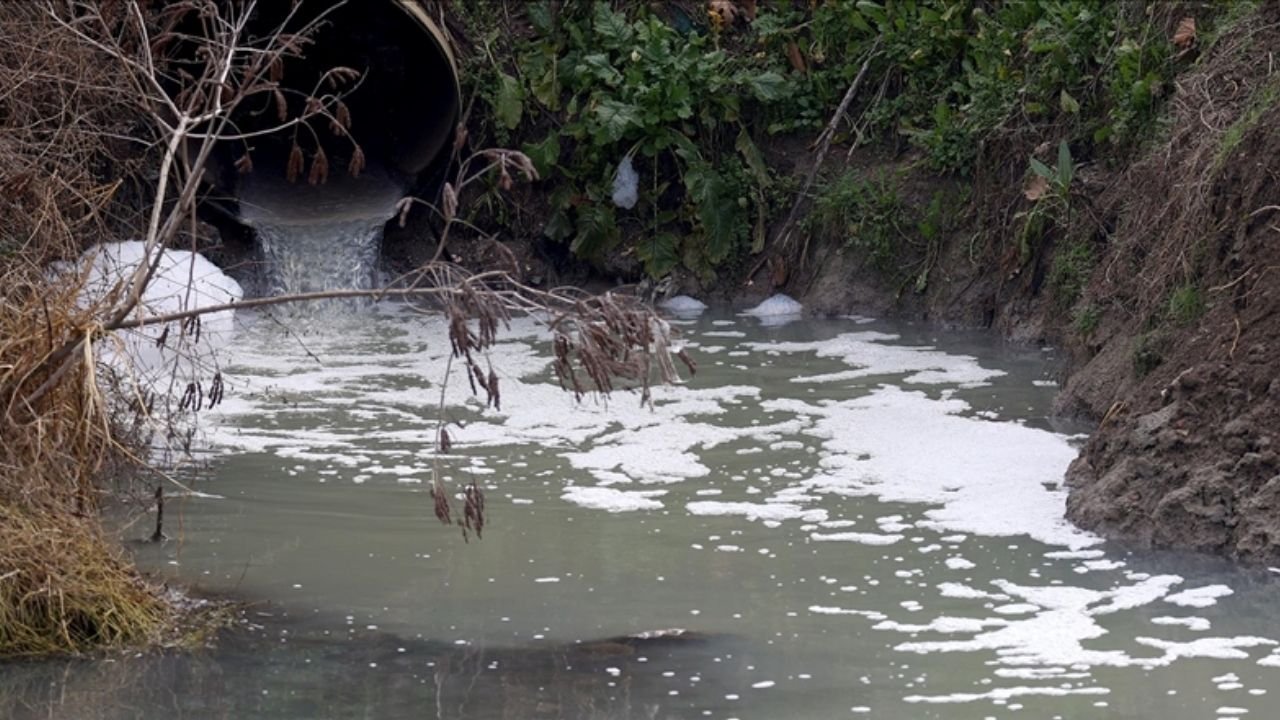 Edirne'de Su Kaynaklarına Atılan Plastiklere Dikkat Çekildi