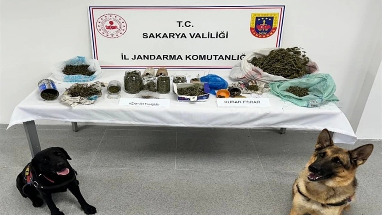 Sakarya'da Uyuşturucuyla Yakalanan 2 Kişi Tutuklandı