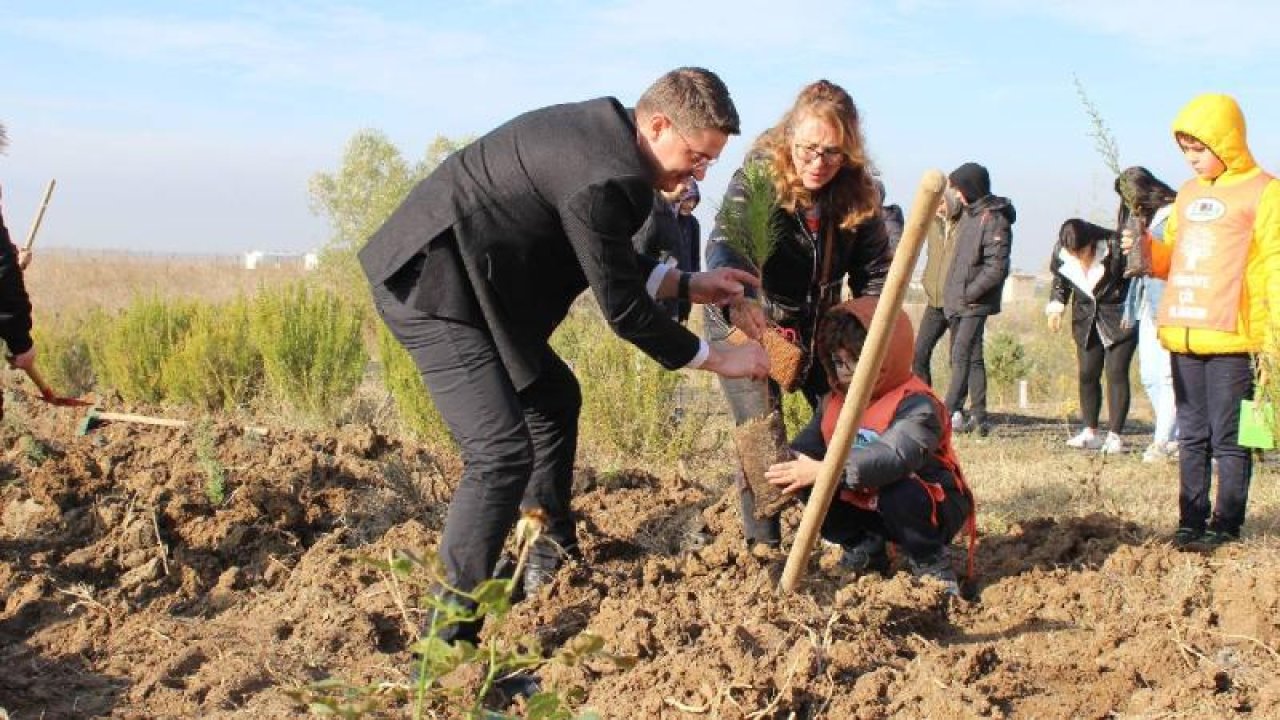 Edirne'de 100'er Çam Fidanı ve Gül Dikildi