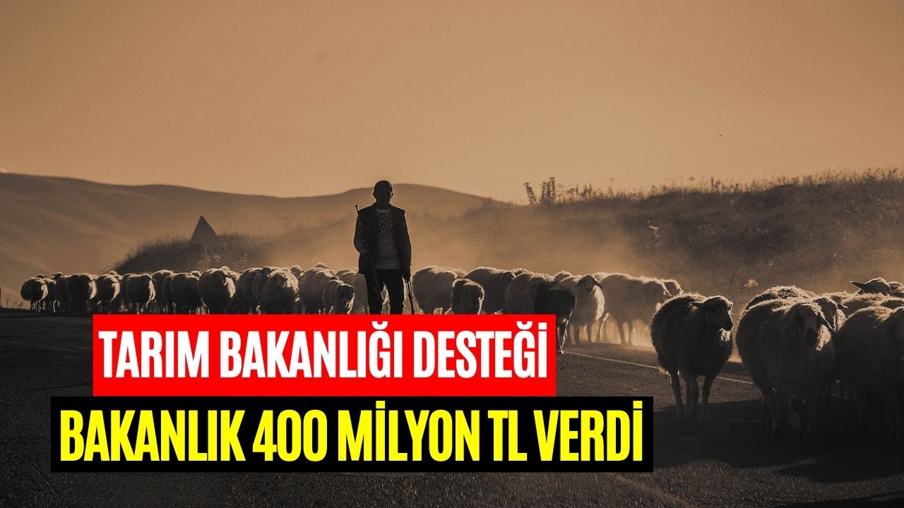 Tarım Bakanlığı Bugün Duyurdu! Yaklaşık 400 Milyon TL Destek