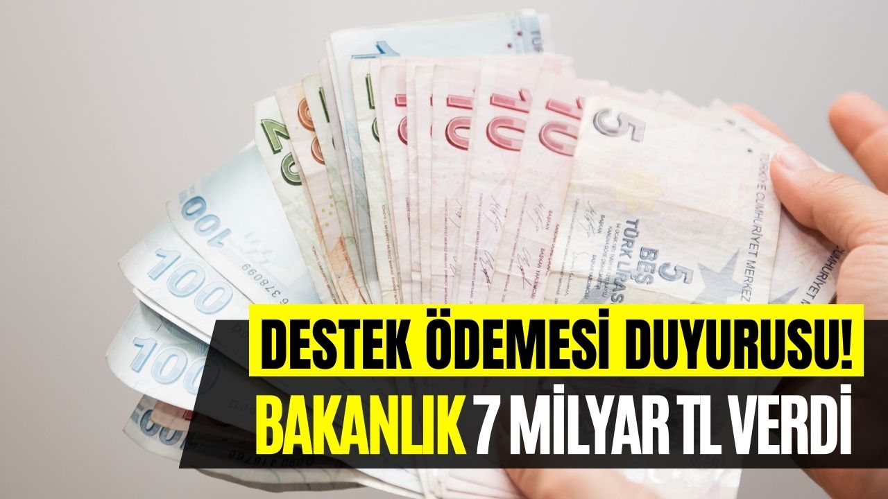 Bakanlık 7 Milyar TL Destek Verdi! Binlerce Projeye Devlet Desteği