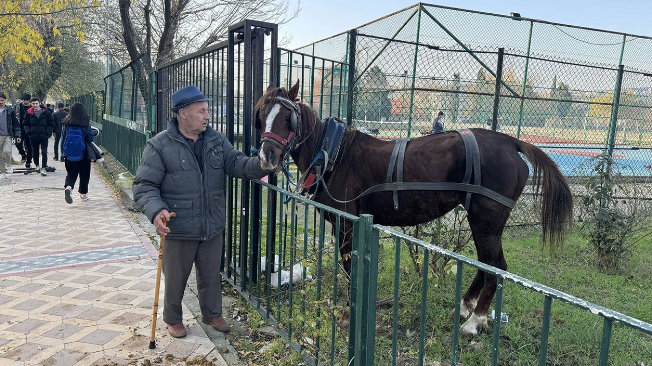 Edirne'de Arabaya Koşulu At Dehşet Saçtı