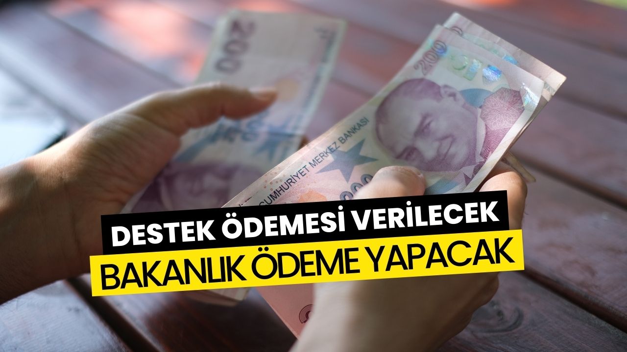 Bakanlık Desteğine Başvurular Sürüyor! 18 Bin TL Ödeme Yapılacak