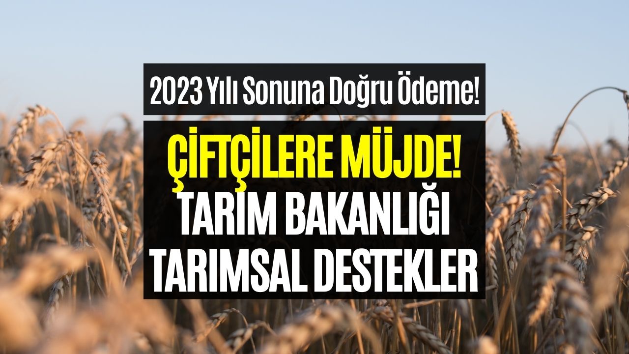 Çiftçilere 2023 Sonunda Tarımsal Destek! Tarım Bakanlığı Duyurdu